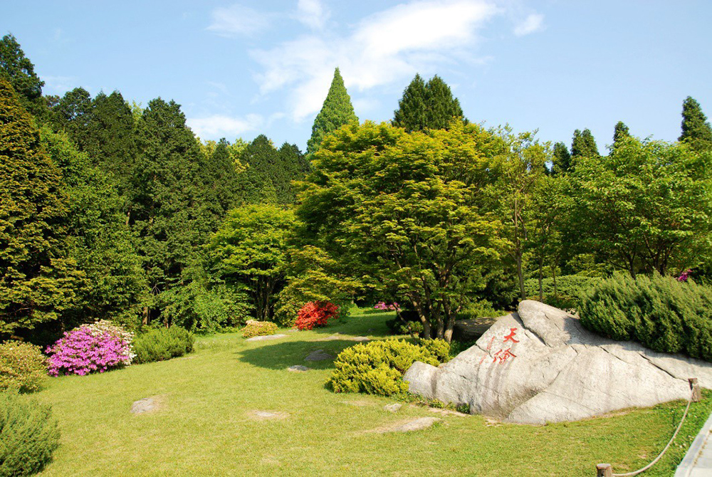 中心区