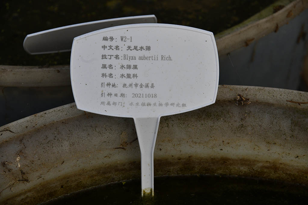 无尾水筛