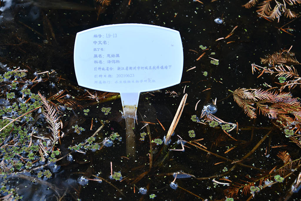 编号L9-13