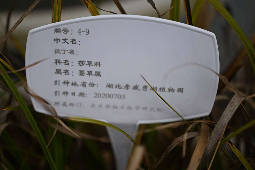 编号4-9