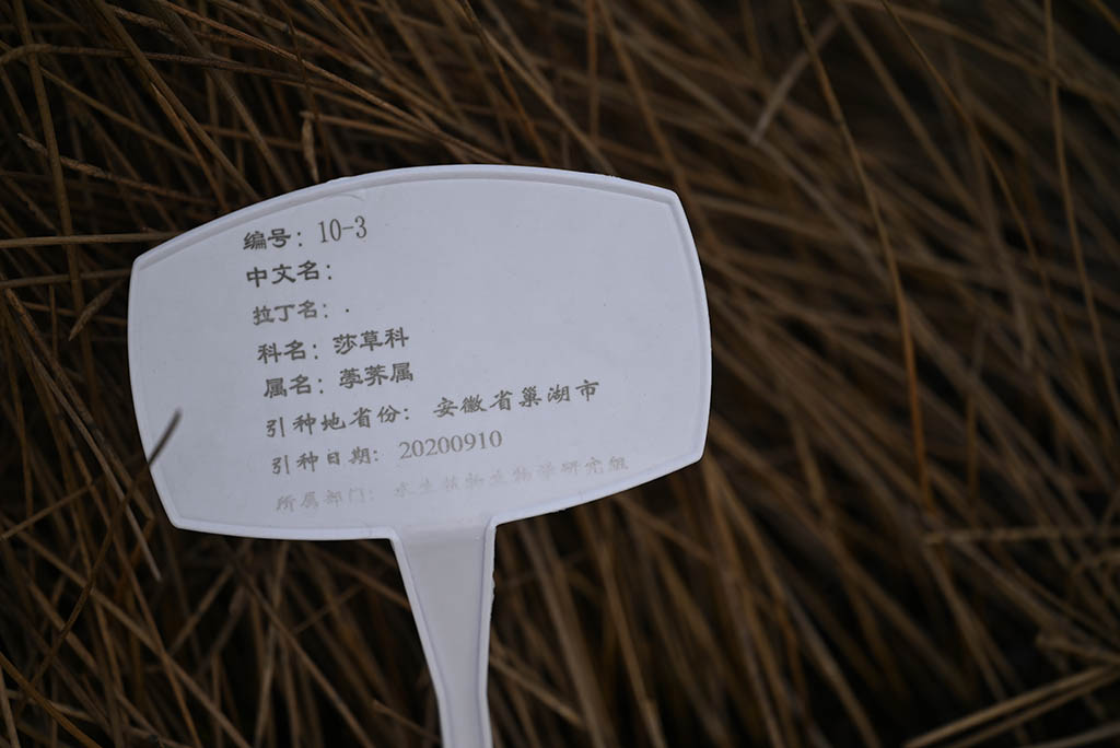 编号10-3