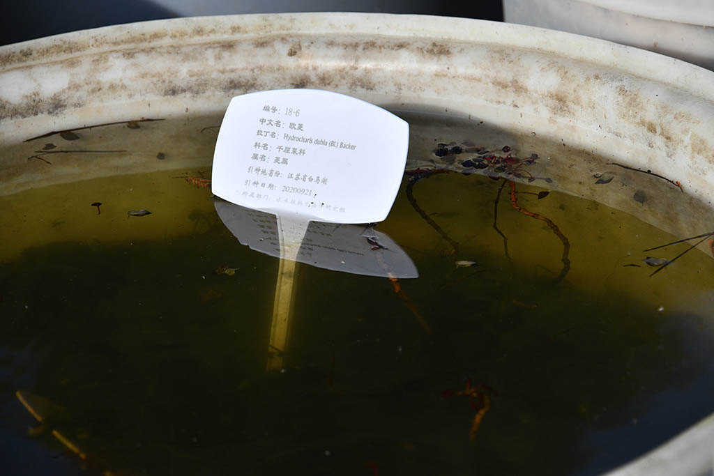 欧菱