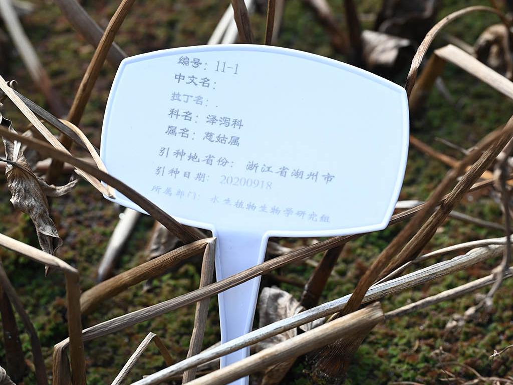 编号11-1