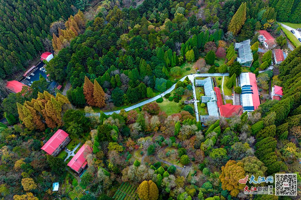 一代代植物学人扎根庐山 让濒危植物生生不息