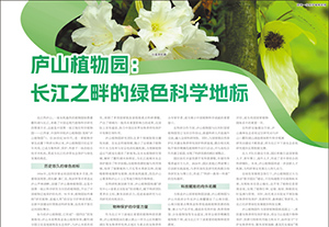 庐山植物园：长江之畔的绿色科学地标