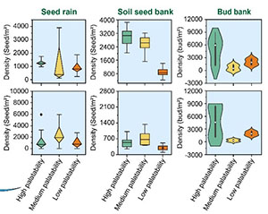 The effects of grazing on shrub expansion depend on species' palatability and long- term alterations in propagule banks in an alpine meadow