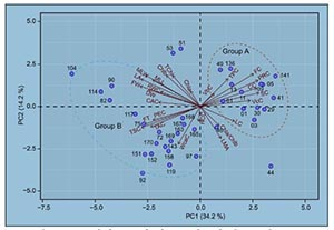 Integrative evaluation of traits and metabolomics in germplasm resources of the high-calcium crop Primulina eburnea